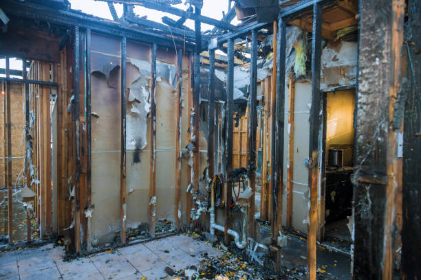 Professional Fire Damage Assessment technician working in Cape Coral, FL